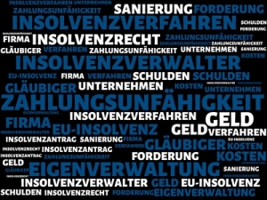 Deckt die D&amp;O-Versicherung die persönliche Haftung des Geschäftsführers wegen Zahlungen nach insolvenzreife eines Unternehmens?