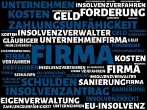 Insolvenzrecht: Haftung des Geschäftsführers einer GmbH für Zahlungen nach Eintritt der Insolvenzreife?