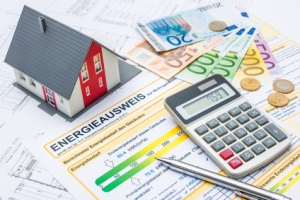 Maklerrecht – Welche Informationspflichten der Energieeinsparungsverordnung treffen auch den Immobilienmakler?